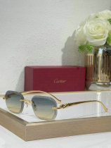 Cartier Sunglasses AAA (656) Cartier Sunglasses AAA (656)