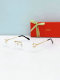 Cartier Sunglasses AAA (516)