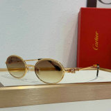 Cartier Sunglasses AAA (100)