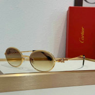 Cartier Sunglasses AAA (100)