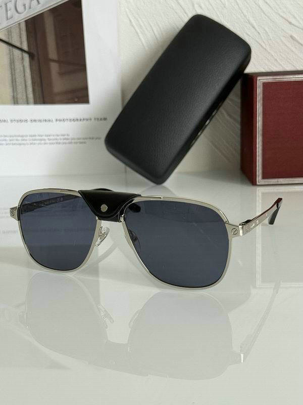 Cartier Sunglasses AAA (278)