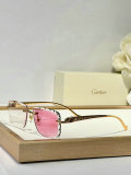 Cartier Sunglasses AAA (1493)