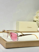 Cartier Sunglasses AAA (1493) Cartier Sunglasses AAA (1493)