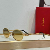 Cartier Sunglasses AAA (103)