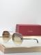 Cartier Sunglasses AAA (3946)