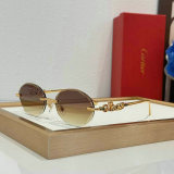 Cartier Sunglasses AAA (1652)
