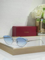 Cartier Sunglasses AAA (567) Cartier Sunglasses AAA (567)