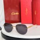 Cartier Sunglasses AAA (2876)