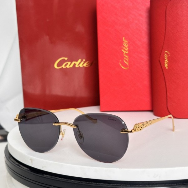 Cartier Sunglasses AAA (2876)