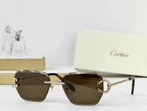 Cartier Sunglasses AAA (712) Cartier Sunglasses AAA (712)