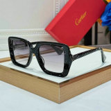 Cartier Sunglasses AAA (906)