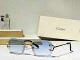 Cartier Sunglasses AAA (696)