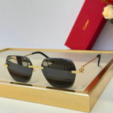 Cartier Sunglasses AAA (1365)