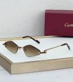 Cartier Sunglasses AAA (1924)