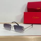 Cartier Sunglasses AAA (3376)