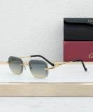 Cartier Sunglasses AAA (1994)