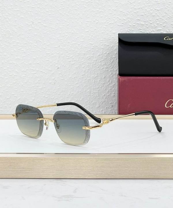 Cartier Sunglasses AAA (1994)