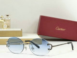 Cartier Sunglasses AAA (1011)