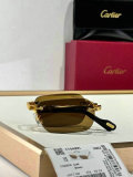 Cartier Sunglasses AAA (1131)