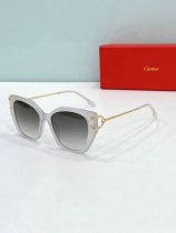 Cartier Sunglasses AAA (1548) Cartier Sunglasses AAA (1548)