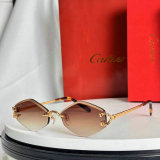Cartier Sunglasses AAA (203)