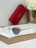 Cartier Sunglasses AAA (3009)