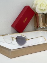 Cartier Sunglasses AAA (3009) Cartier Sunglasses AAA (3009)