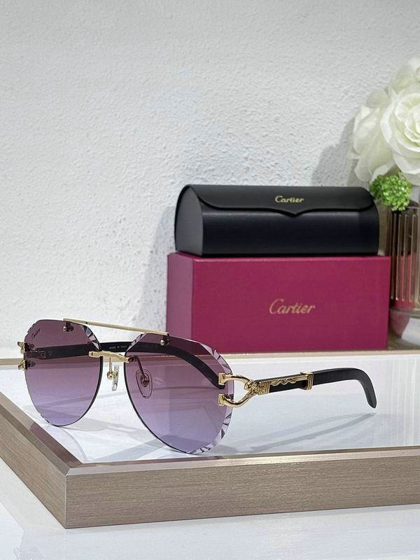 Cartier Sunglasses AAA (600)