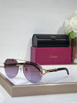 Cartier Sunglasses AAA (600) Cartier Sunglasses AAA (600)