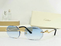 Cartier Sunglasses AAA (267) Cartier Sunglasses AAA (267)