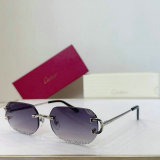 Cartier Sunglasses AAA (46)