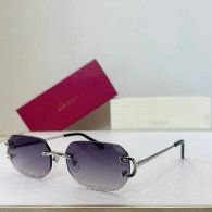 Cartier Sunglasses AAA (46)