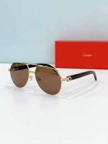 Cartier Sunglasses AAA (419) Cartier Sunglasses AAA (419)