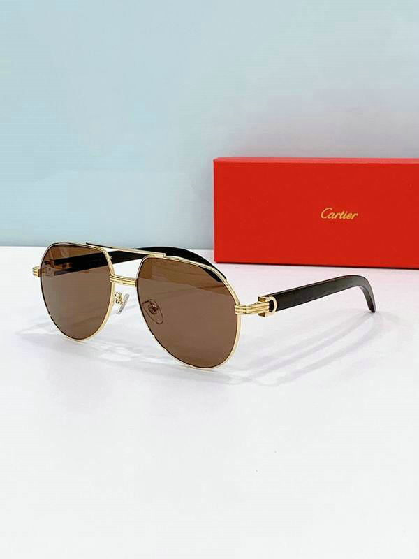 Cartier Sunglasses AAA (419)