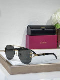 Cartier Sunglasses AAA (595)