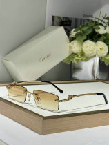 Cartier Sunglasses AAA (224) Cartier Sunglasses AAA (224)