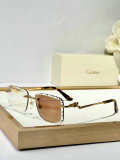Cartier Sunglasses AAA (1484)
