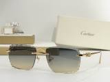 Cartier Sunglasses AAA (2270)