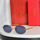 Cartier Sunglasses AAA (313)