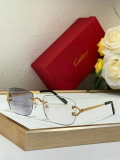 Cartier Sunglasses AAA (985)
