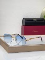 Cartier Sunglasses AAA (3761)