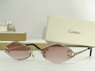 Cartier Sunglasses AAA (242)