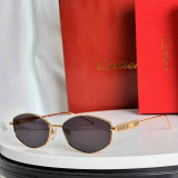 Cartier Sunglasses AAA (86)