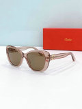 Cartier Sunglasses AAA (968)