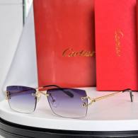 Cartier Sunglasses AAA (3979)