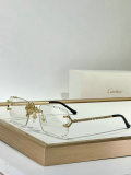 Cartier Sunglasses AAA (1031)
