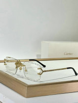 Cartier Sunglasses AAA (1031) Cartier Sunglasses AAA (1031)
