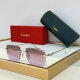 Cartier Sunglasses AAA (744)