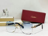 Cartier Sunglasses AAA (862)