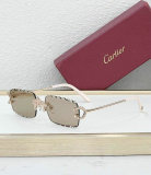 Cartier Sunglasses AAA (555)